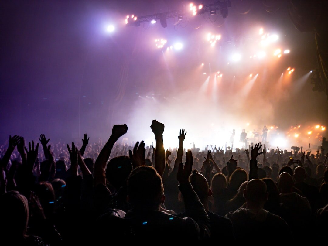 crowd at concert